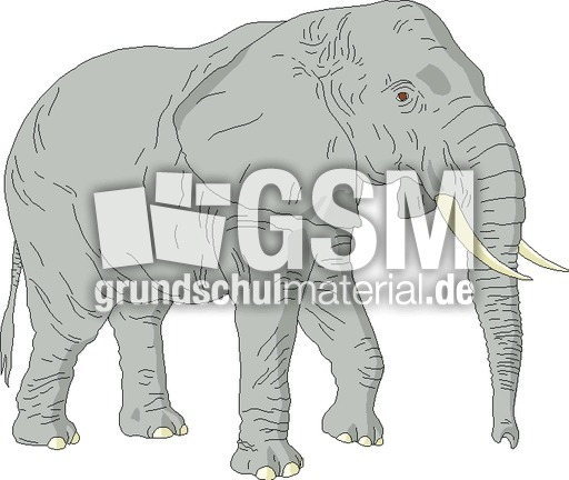 Elefant.tif